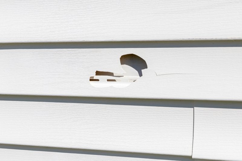 Inspecting Vinyl Siding Damage